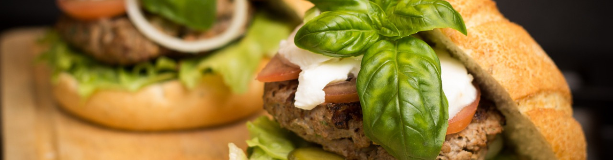 DEMO BURGERS