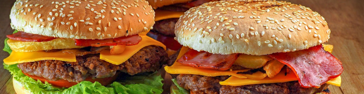 DEMO BURGERS